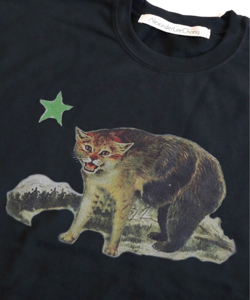 And A(アンドエー)の「AlexanderLeeChang アレキサンダーリーチャン / CATFORNYA CREW キャットフォルニャ リパブリック クルーネック プリントスウェット トレーナー / AC012119(スウェット・メンズ・グレー/ブラック/オレンジ・2/3/4)」の12枚目の写真