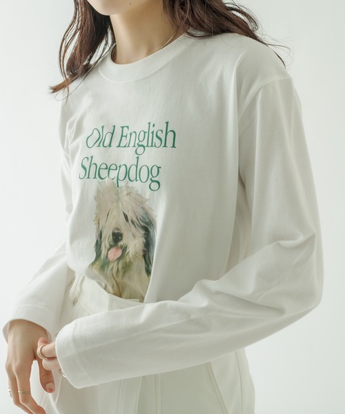 mystic(ミスティック)の「sheep dog ロングTシャツ(Tシャツ/カットソー・レディース・ホワイト・FREE)」の13枚目の写真