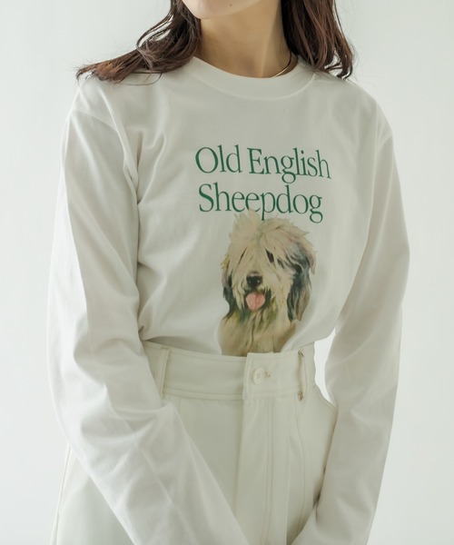 mystic(ミスティック)の「sheep dog ロングTシャツ(Tシャツ/カットソー・レディース・ホワイト・FREE)」の14枚目の写真