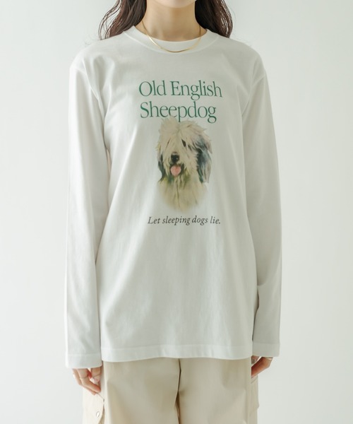 mystic(ミスティック)の「sheep dog ロングTシャツ(Tシャツ/カットソー・レディース・ホワイト・FREE)」の16枚目の写真