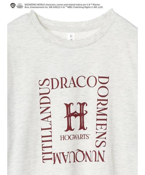 Green　Parks（グリーンパークス）の「ハリーポッター/ロゴロンT（Tシャツ/カットソー・レディース・グレー系その他/サックスブルー/ダークグレー/ベージュ・FREE）」の8枚目の写真