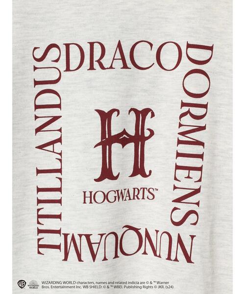 Green　Parks（グリーンパークス）の「ハリーポッター/ロゴロンT（Tシャツ/カットソー・レディース・グレー系その他/サックスブルー/ダークグレー/ベージュ・FREE）」の12枚目の写真