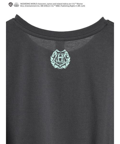 Green　Parks（グリーンパークス）の「ハリーポッター/ロゴロンT（Tシャツ/カットソー・レディース・グレー系その他/サックスブルー/ダークグレー/ベージュ・FREE）」の15枚目の写真