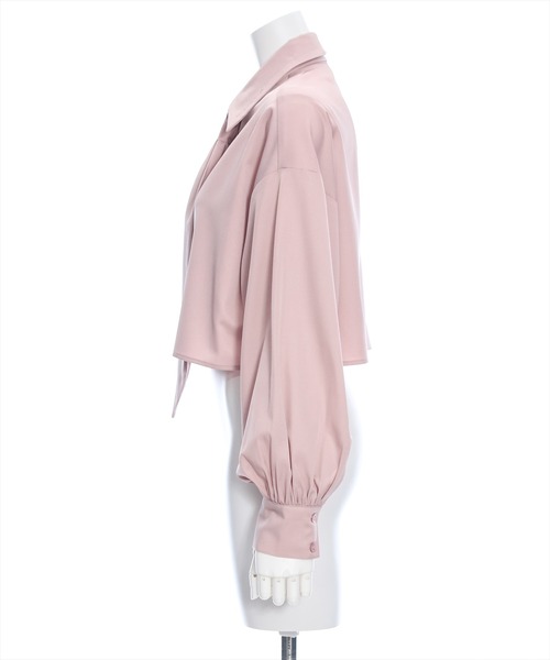 clear（クリア）の「≪再入荷≫ネクタイ付きショート丈長袖シャツ[オフィスカジュアル 着回し抜群 大人]（シャツ/ブラウス・レディース・アイボリー/ピンクベージュ/サックスブルー・F）」の5枚目の写真