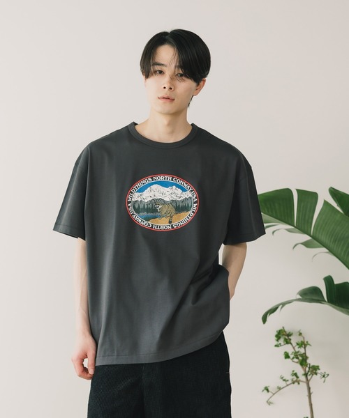 【セール】WILD THINGS/ワイルドシングス DENALI CAT デナリキャット Tシャツ カットソー（Tシャツ/カットソー）｜WILD THINGS（ワイルドシングス）