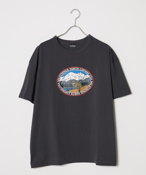【セール】WILD THINGS/ワイルドシングス DENALI CAT デナリキャット Tシャツ カットソー（Tシャツ/カットソー）｜WILD THINGS（ワイルドシングス）
