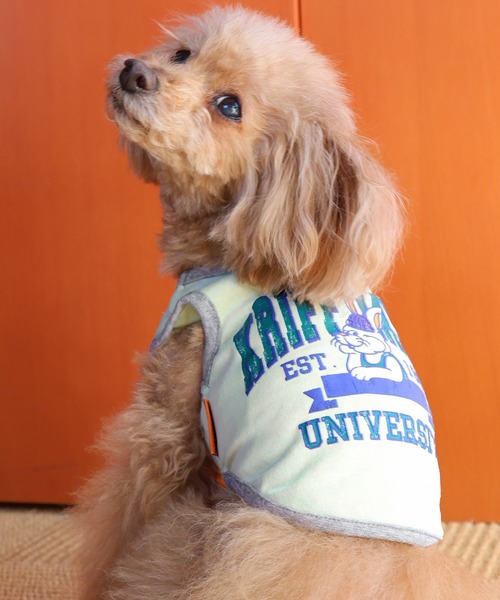 サマーニット刺繍入りワンピース / 犬服 / ドッグウェア（ペットウェア