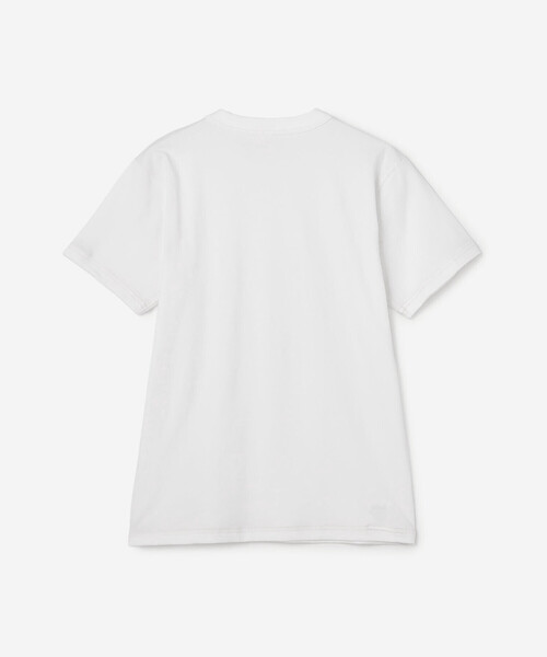 WHITESVILLE(ホワイツビル)の「WHITESVILLE | 2PACK 半袖Tシャツ WOMEN(Tシャツ/カットソー・レディース・オフホワイト/ブラック/グレー・S)」の5枚目の写真