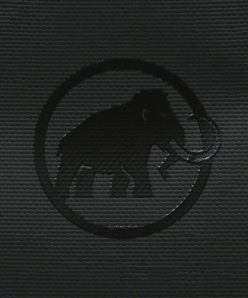 Mammut(マムート)の「マムート MAMMUT セオントランスポーター15(バックパック/リュック・メンズ・その他・ONE SIZE)」の16枚目の写真
