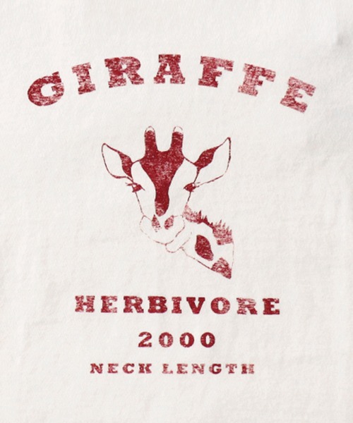 antiqua(アンティカ)の「アニマルイラストTシャツ(Tシャツ/カットソー・キッズ・その他4/その他3/その他2/その他1/その他5・160/130/120/150/140)」の19枚目の写真