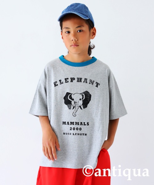 antiqua(アンティカ)の「アニマルイラストTシャツ(Tシャツ/カットソー・キッズ・その他4/その他3/その他2/その他1/その他5・160/130/120/150/140)」の6枚目の写真