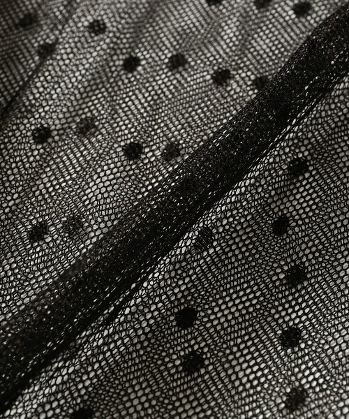 CAROLINA GLASER（カロリナ グレイサー）の「ドットチュール シアー ロングスリーブ カットソー（Tシャツ/カットソー・レディース・ホワイト/ブラック・ONE SIZE）」の14枚目の写真