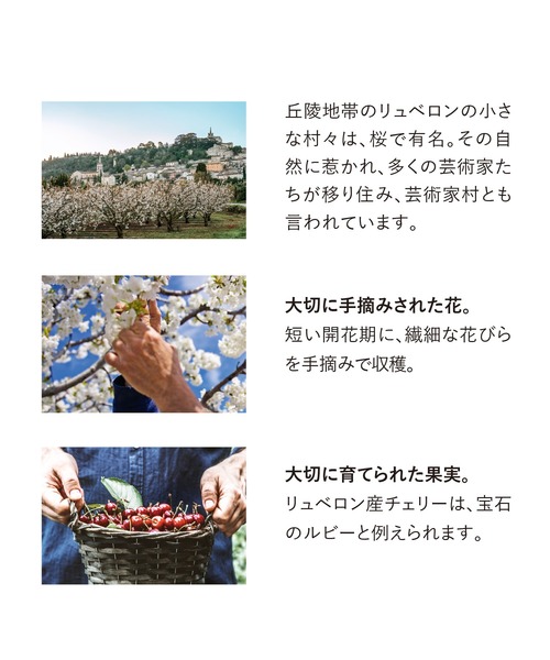 L'OCCITANE（ロクシタン）の「【数量限定】チェリーブロッサム ネイルオイル 7.5mL（ネイル用品/ネイルケア・レディース・その他・FREE）」の5枚目の写真