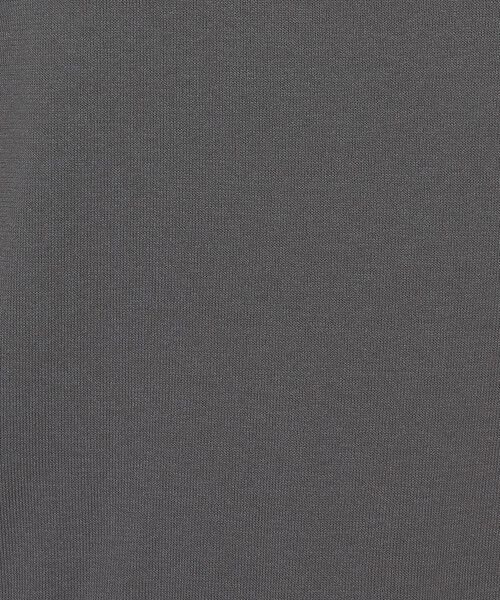 COMME CA（コムサ）の「コットンダルストレッチ 半袖プルオーバー（ニット/セーター・レディース・グレー/ブルー/キナリ・11号/9号）」の13枚目の写真