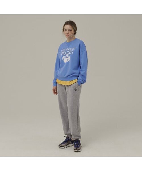 Between A and B（ビトウィーンエイアンドビー）の「ホワイトピーチプリントスウェットシャツ[ブルー]（スウェット・レディース・その他・FREE）」の3枚目の写真