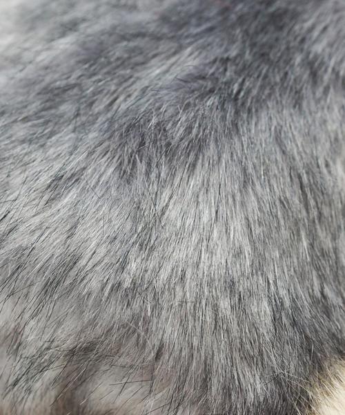 Jewel Changes(ジュエルチェンジズ)の「【WEB限定】◎JC フェイクファーポシェット / ショルダーバッグ(ショルダーバッグ・レディース・ライトグレー/ナチュラル/レッド・フリ-)」の17枚目の写真