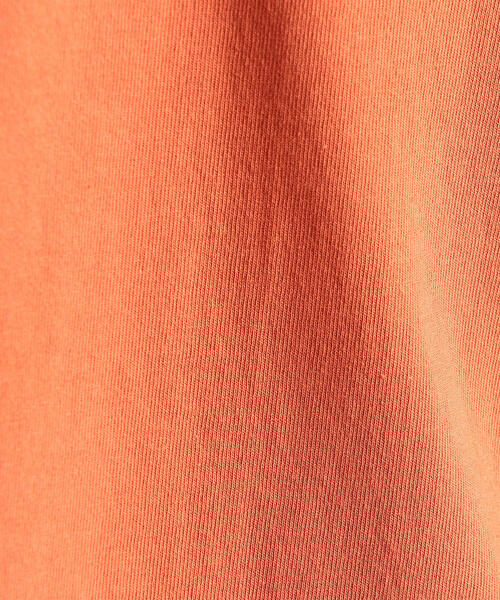 DANTON（ダントン）の「[ダントン] SC DANTON ロゴ ポケット Tシャツ（Tシャツ/カットソー・メンズ・その他1/ブラック/ホワイト/オレンジ系その他/ダークグリーン/ダークブラウン/ベージュ・40/38/42）」の16枚目の写真