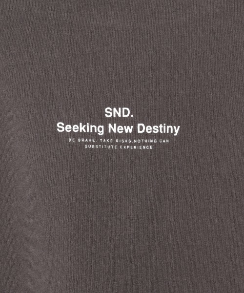 PAGEBOY（ページボーイ）の「レトロフォトロンTEE（Tシャツ/カットソー・レディース・チャコールグレー/オフホワイト・FREE）」の5枚目の写真