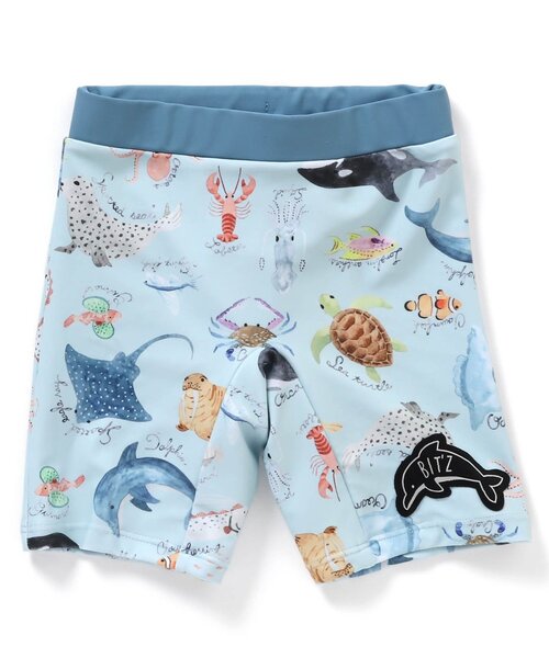 水の生き物 キューブ パズル 知育玩具 おもちゃ 水の生き物 海の生き物