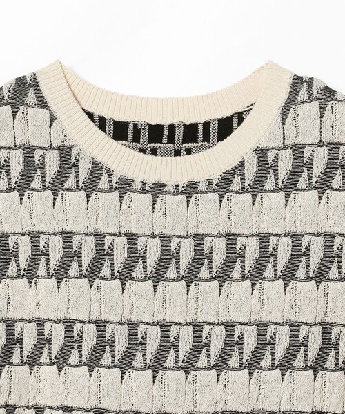 Ray BEAMS（レイビームス）の「RBS / フクレ ジャカード ノースリーブ（ニット/セーター・レディース・ライトブルー/ベージュ・ONE SIZE）」の8枚目の写真