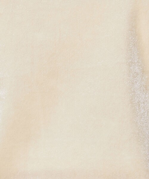 CITEN（シテン）の「＜CITEN＞ベロア タンクトップ（タンクトップ・レディース・ダークグレー/ブラウン/オフホワイト・FREE）」の18枚目の写真