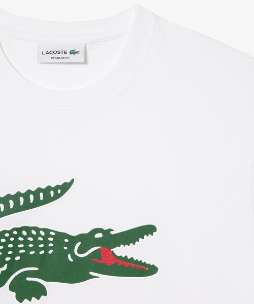 【セール】ワニロゴグラフィックプリント半袖Tシャツ（Tシャツ/カットソー）｜LACOSTE（ラコステ）