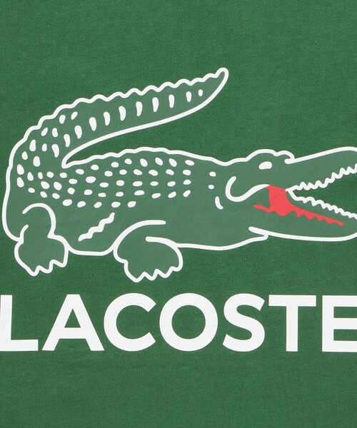【セール】ワニロゴグラフィックプリント半袖Tシャツ（Tシャツ/カットソー）｜LACOSTE（ラコステ）