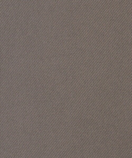 EDITION(エディション)の「カルゼジャージー ジップトップス(シャツ/ブラウス・レディース・ブラック/キャメル・36/34)」の11枚目の写真