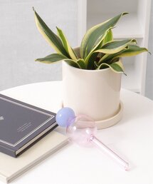 notch.（ノッチ）の「ガラスのディスペンサー（Ｓ）（インテリア雑貨）」