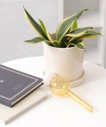 notch.（ノッチ）の「ガラスのディスペンサー（Ｓ）（インテリア雑貨）」