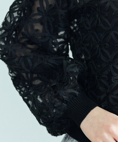 Audie a Muses（オーディアミューズ）の「フラワー立体刺繍ブラウスカーディガン（カーディガン/ボレロ・レディース・ブラック/オフホワイト・38/42）」の14枚目の写真