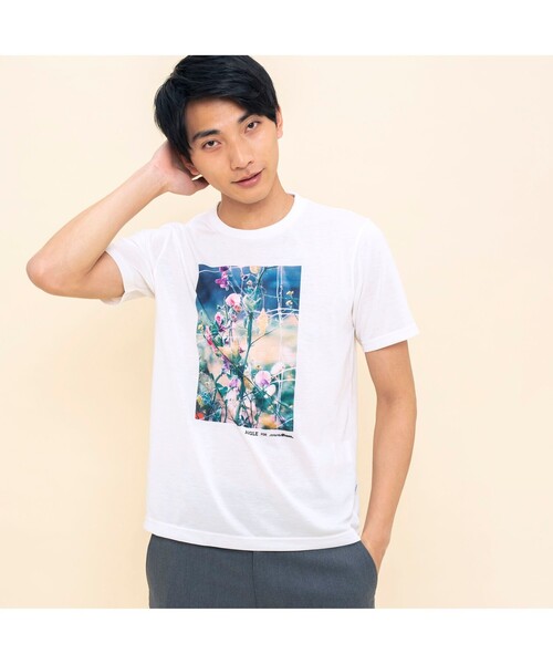 AIGLE（エーグル）の「AIGLE for more trees チャリティTシャツ（Tシャツ/カットソー・レディース・ホワイト/ヘザーグレー・L/M/LL/S）」の2枚目の写真