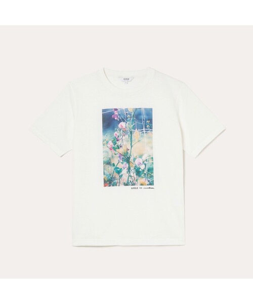 AIGLE（エーグル）の「AIGLE for more trees チャリティTシャツ（Tシャツ/カットソー・レディース・ホワイト/ヘザーグレー・L/M/LL/S）」の12枚目の写真