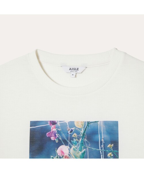 AIGLE（エーグル）の「AIGLE for more trees チャリティTシャツ（Tシャツ/カットソー・レディース・ホワイト/ヘザーグレー・L/M/LL/S）」の11枚目の写真