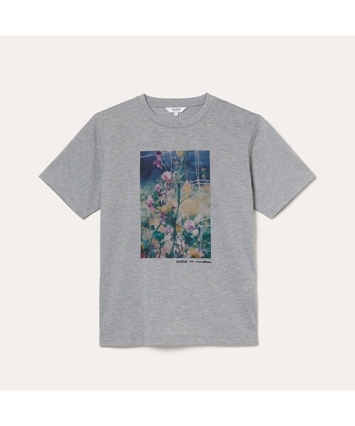 AIGLE（エーグル）の「AIGLE for more trees チャリティTシャツ（Tシャツ/カットソー・レディース・ホワイト/ヘザーグレー・L/M/LL/S）」の6枚目の写真
