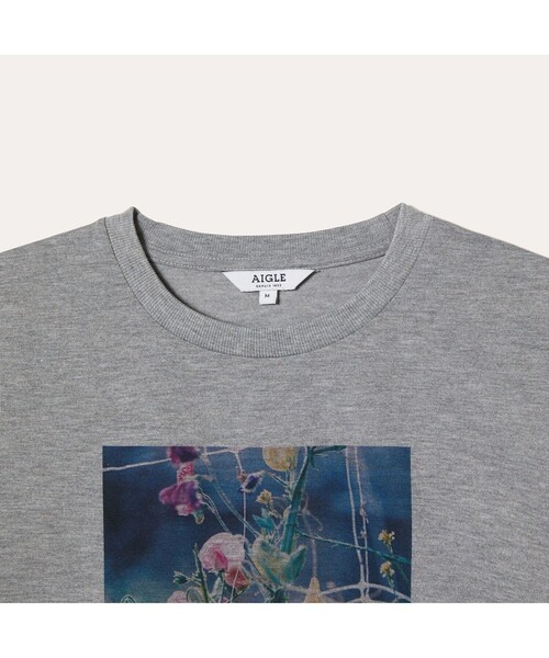 AIGLE（エーグル）の「AIGLE for more trees チャリティTシャツ（Tシャツ/カットソー・レディース・ホワイト/ヘザーグレー・L/M/LL/S）」の5枚目の写真
