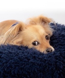 MODERNBEAST（モダンビースト）の「MODERNBEAST POD（ペット用クッション/マット）」