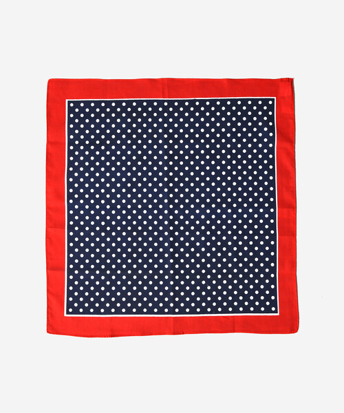 LABOUR AND WAIT（レイバーアンドウェイト）の「LABOUR AND WAIT | POLKADOT HANDKERCHIEF NVYBORDER（ハンカチ/ハンドタオル・レディース・ブルー系その他5・-）」の2枚目の写真