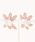 tone�i�g�[���j�́u�yTie�zfoule�E�s�A�X�i�s�A�X�i�����p�j�j�v�b�p�[�v��