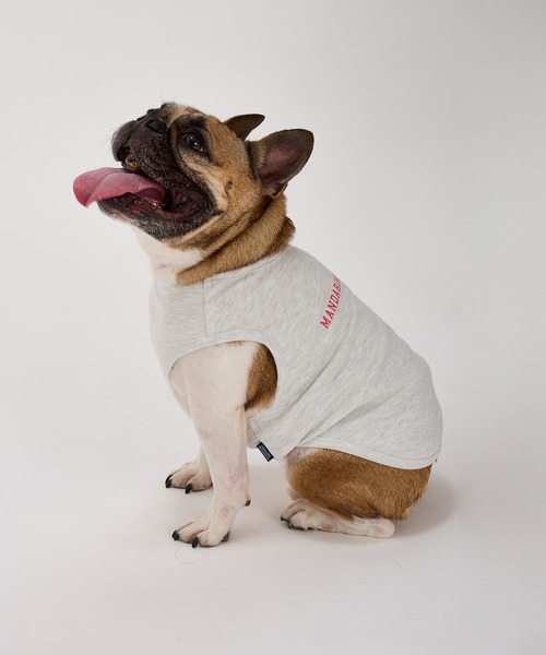 MANDARINE BROTHERS(マンダリンブラザーズ)の「テンダーケアTシャツ/小型犬・中型犬/XL/XLB/XXL(ペットウェア・レディース・オレンジ/ライトグレー/ベビーピンク・XL/XLB/XXL)」の2枚目の写真