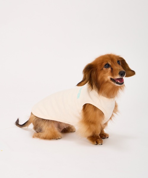 MANDARINE BROTHERS(マンダリンブラザーズ)の「テンダーケアTシャツ/小型犬・中型犬/XL/XLB/XXL(ペットウェア・レディース・オレンジ/ライトグレー/ベビーピンク・XL/XLB/XXL)」の6枚目の写真