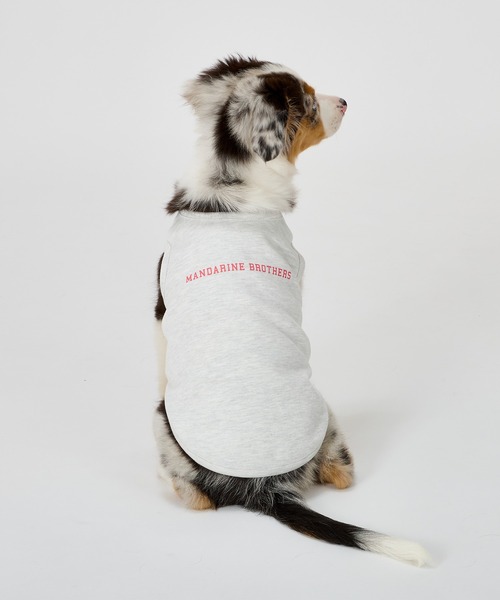 MANDARINE BROTHERS(マンダリンブラザーズ)の「テンダーケアTシャツ/小型犬・中型犬/XL/XLB/XXL(ペットウェア・レディース・オレンジ/ライトグレー/ベビーピンク・XL/XLB/XXL)」の7枚目の写真