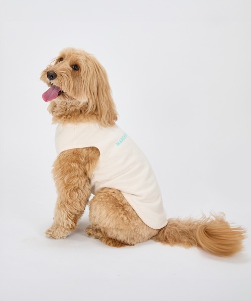 MANDARINE BROTHERS(マンダリンブラザーズ)の「テンダーケアTシャツ/小型犬・中型犬/XL/XLB/XXL(ペットウェア・レディース・オレンジ/ライトグレー/ベビーピンク・XL/XLB/XXL)」の15枚目の写真