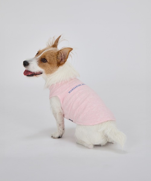 MANDARINE BROTHERS(マンダリンブラザーズ)の「テンダーケアTシャツ/小型犬・中型犬/XL/XLB/XXL(ペットウェア・レディース・オレンジ/ライトグレー/ベビーピンク・XL/XLB/XXL)」の13枚目の写真