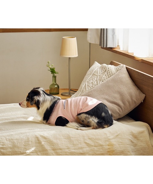 MANDARINE BROTHERS(マンダリンブラザーズ)の「テンダーケアTシャツ/小型犬・中型犬/XL/XLB/XXL(ペットウェア・レディース・オレンジ/ライトグレー/ベビーピンク・XL/XLB/XXL)」の20枚目の写真