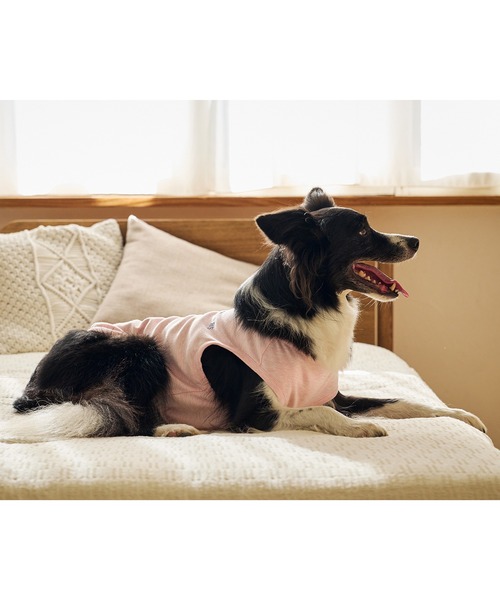 MANDARINE BROTHERS(マンダリンブラザーズ)の「テンダーケアTシャツ/小型犬・中型犬/XL/XLB/XXL(ペットウェア・レディース・オレンジ/ライトグレー/ベビーピンク・XL/XLB/XXL)」の19枚目の写真