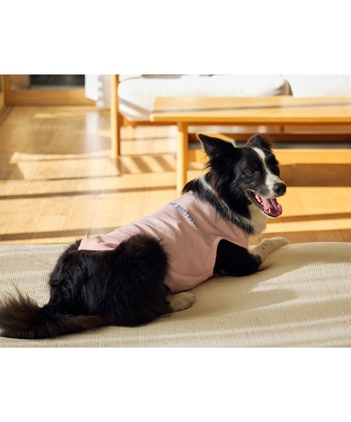 MANDARINE BROTHERS(マンダリンブラザーズ)の「テンダーケアTシャツ/小型犬・中型犬/XL/XLB/XXL(ペットウェア・レディース・オレンジ/ライトグレー/ベビーピンク・XL/XLB/XXL)」の18枚目の写真