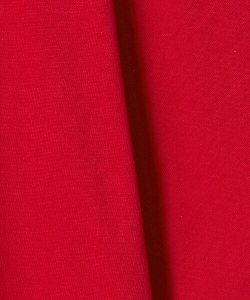 NICE WEATHER(ナイスウェザー)の「<NICE WEATHER>ウィメンズ NICE ロゴ Tシャツ(Tシャツ/カットソー・レディース・ホワイト/レッド/ライム/ライラック・S/M)」の11枚目の写真