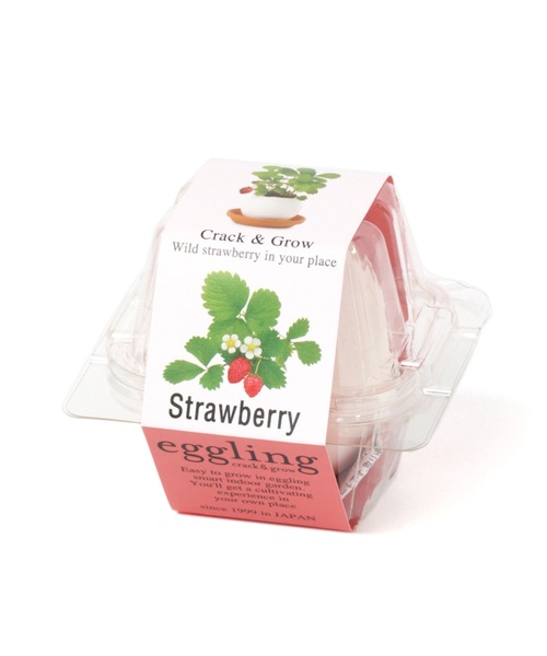 GLOBAL WORK（グローバルワーク）の「エッグリング栽培セット/948392（その他・レディース・その他1/その他2/その他3/ホワイト系その他・FREE）」の4枚目の写真