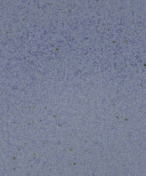 BAYFLOW（ベイフロー）の「[Made in Japan]BF soriフカプレート21（食器・レディース・ベージュ/ブルー・0）」の12枚目の写真